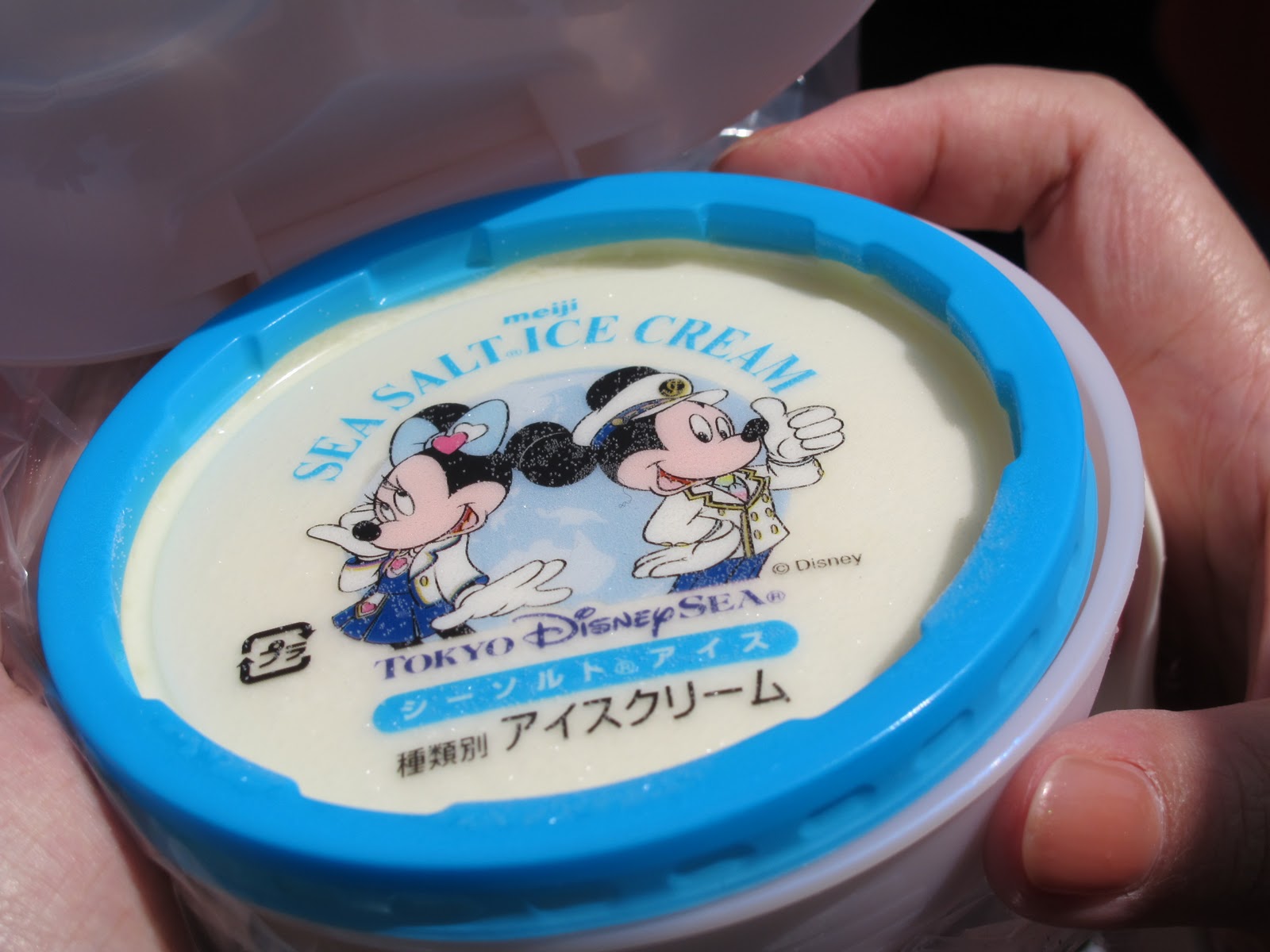 Sea-salt ice cream | Disney Wiki | FANDOM powered by Wikia