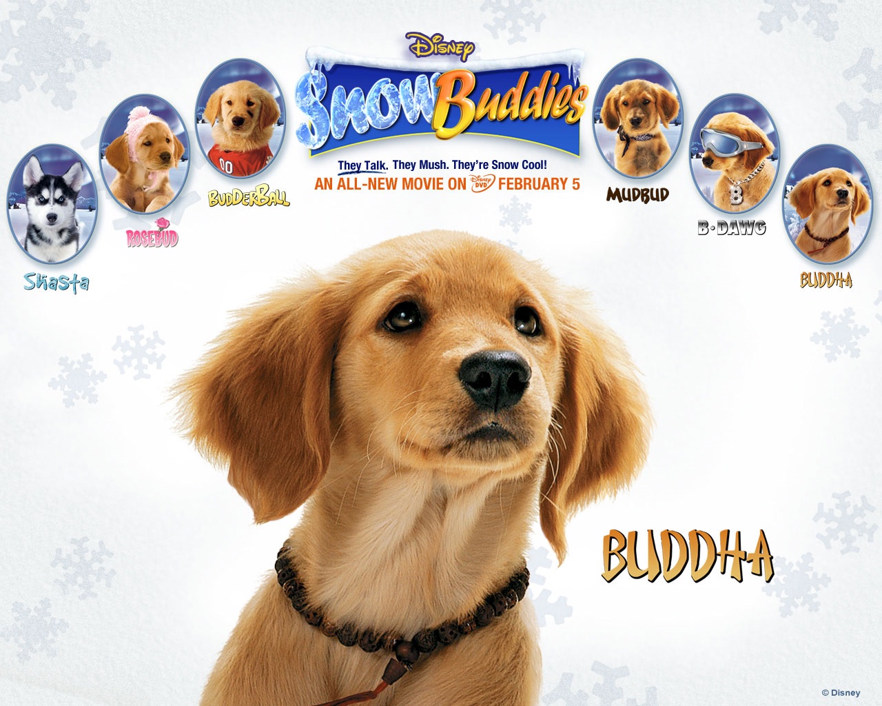 Snow Buddies Snow Buddies