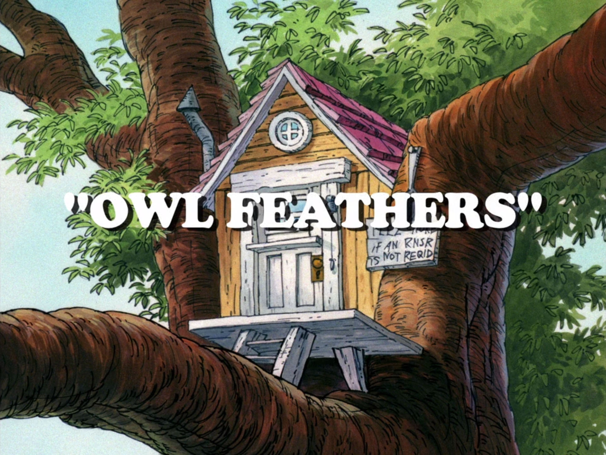 Owl Feathers Disney Wiki Fandom Powered By Wikia