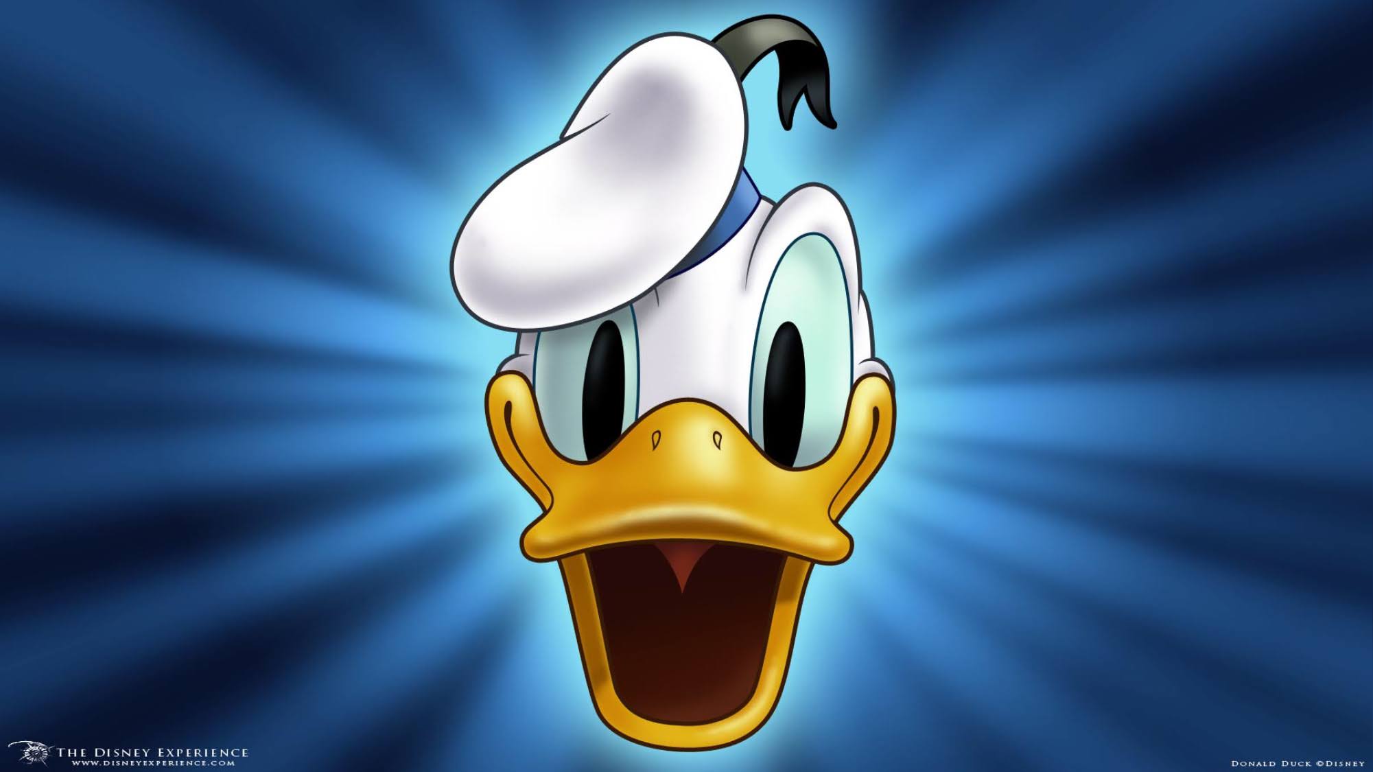 Donald Duck Song Disney Wiki FANDOM Powered By Wikia