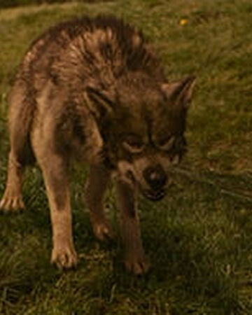 Maugrim Disney Wiki Fandom