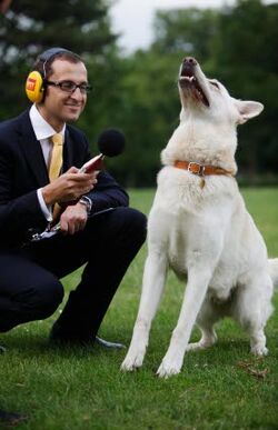 Boltbarks