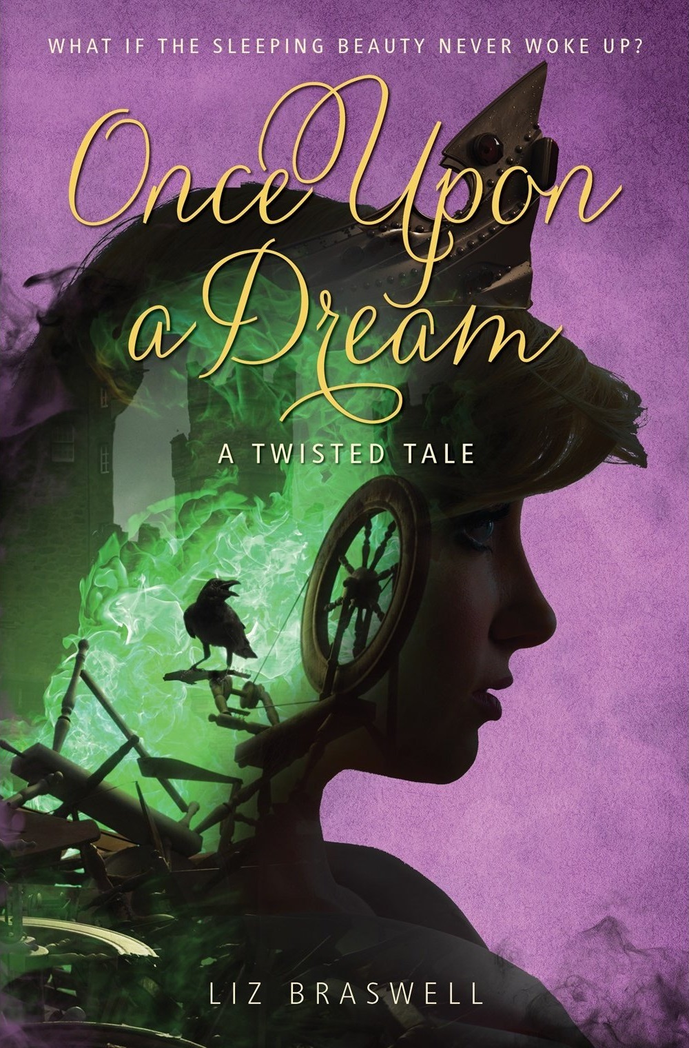 once upon a dream a twisted tale hardcover
