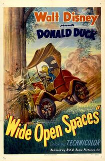 Wide-open-spaces