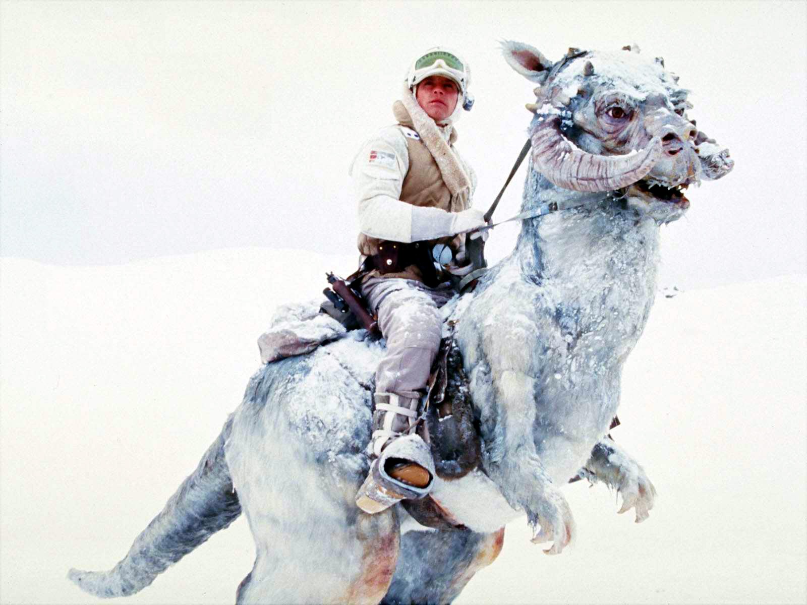 Image result for tauntaun