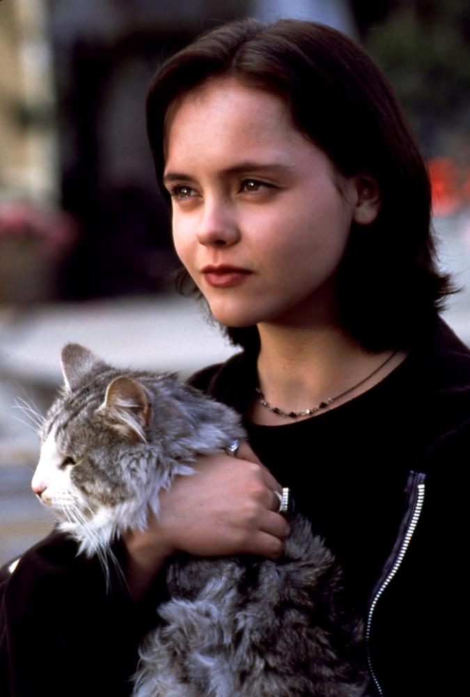 Dewey The Cat Movie Dewey The Cat Movie