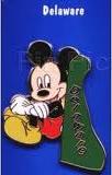 Delaware Mickey Pin