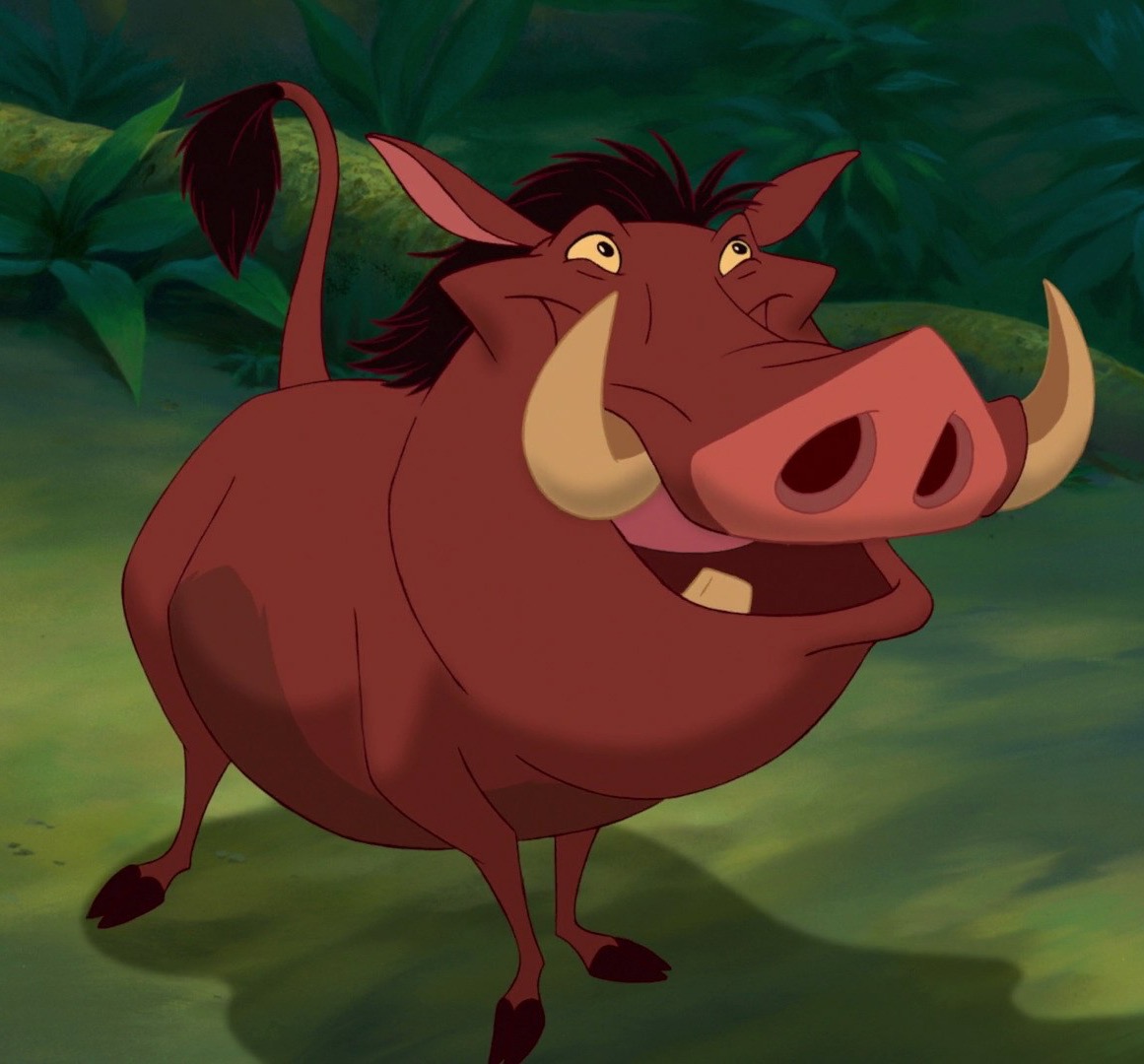 Pumbaa Disney Wiki Fandom Powered By Wikia - 