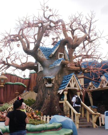 Chip And Dale S Treehouse Disney Wiki Fandom