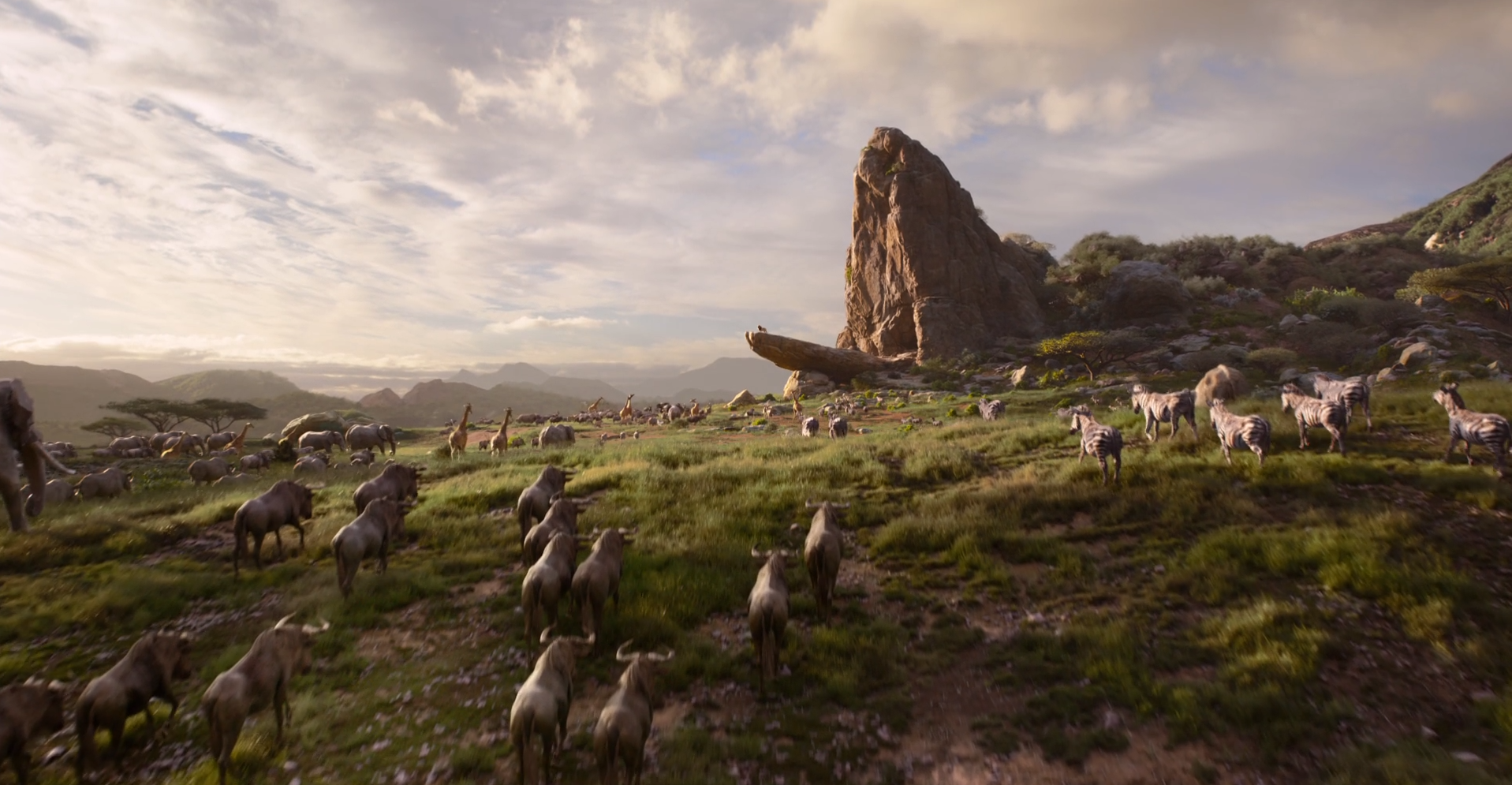 Image Pride Rock from Remake 1.png Disney Wiki FANDOM powered by