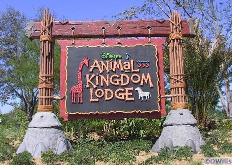 disney animal kingdom lodge to magical kingdom park