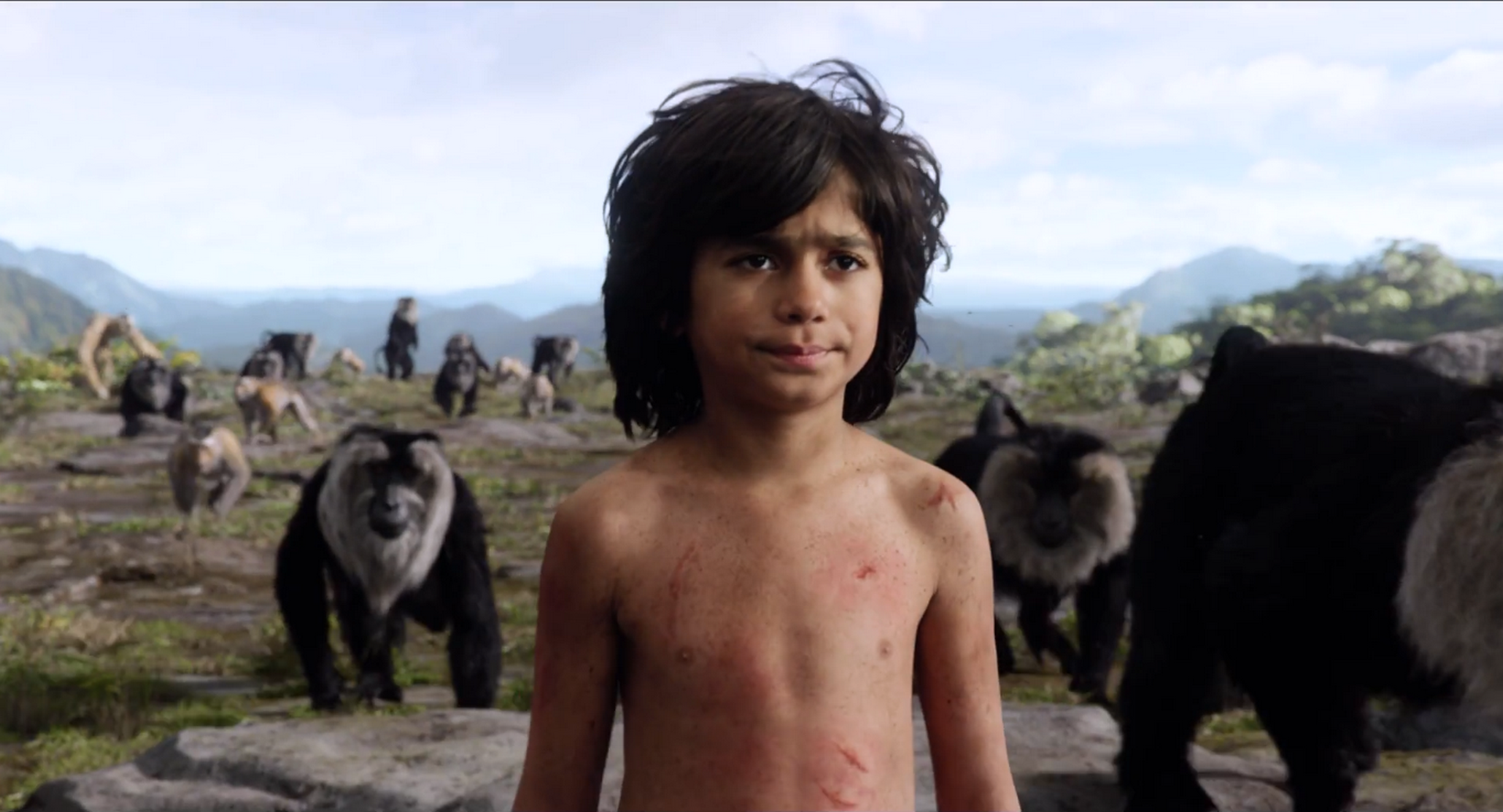 2016 The Jungle Book 2016 The Jungle Book
