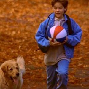 Air Bud Disney Wiki Fandom