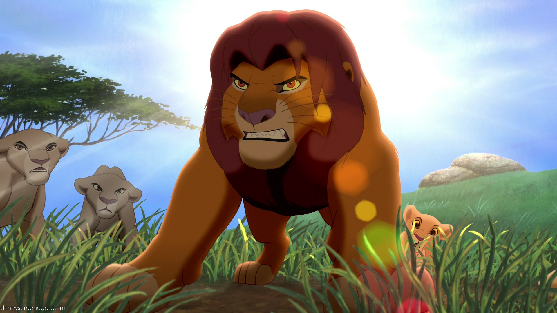 Lion2-disneyscreencaps.com-1482.jpg