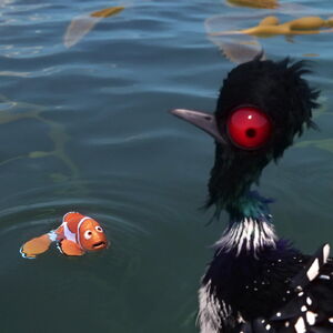 becky finding dory plush