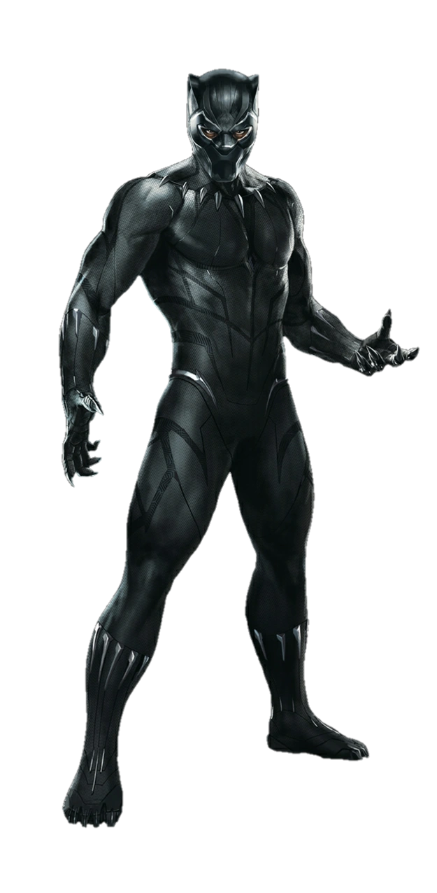 Pantera Negra Disney Wiki Fandom