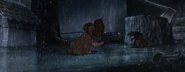 Lady-tramp-disneyscreencaps com-7553