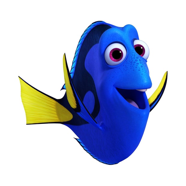 Resultado de imagem para nemo e dory