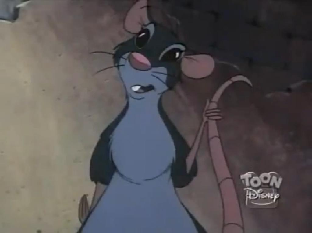 Image Jasmine rat.JPG Disney Wiki FANDOM powered by Wikia