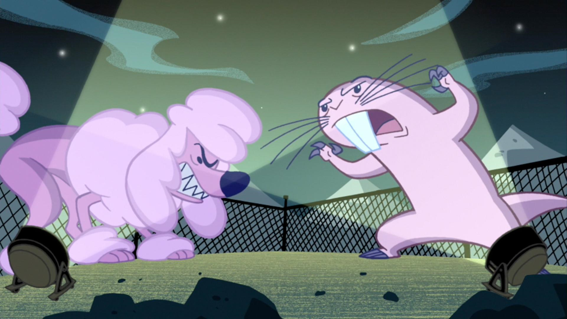 rufus vs balenaetcher rufus vs balenaetcher
