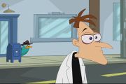 PerryDoofMeet