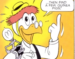 Gyroandhelper