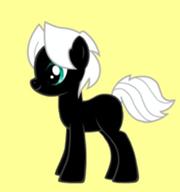 Pony