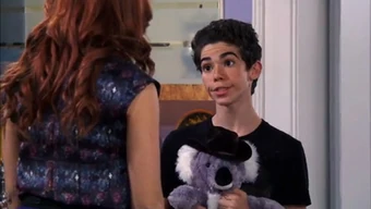 kenny the koala stuffed animal