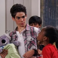 kenny the koala stuffed animal