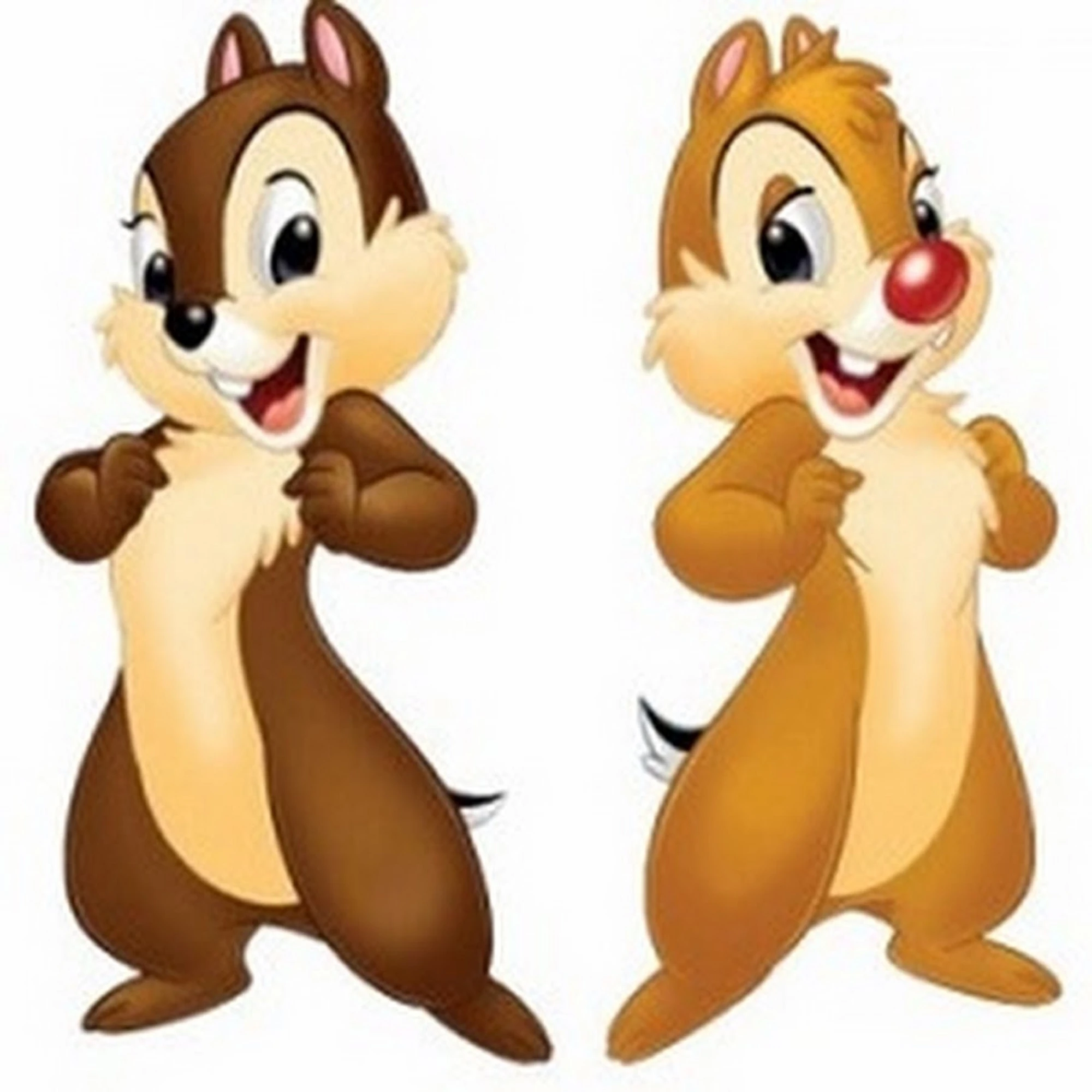 Image .028 Chip Dale & Zachary 28 24 25.jpg Disney Junior Wiki FANDOM powered by Wikia