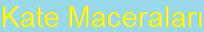 Turkish Logo