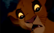 Simba