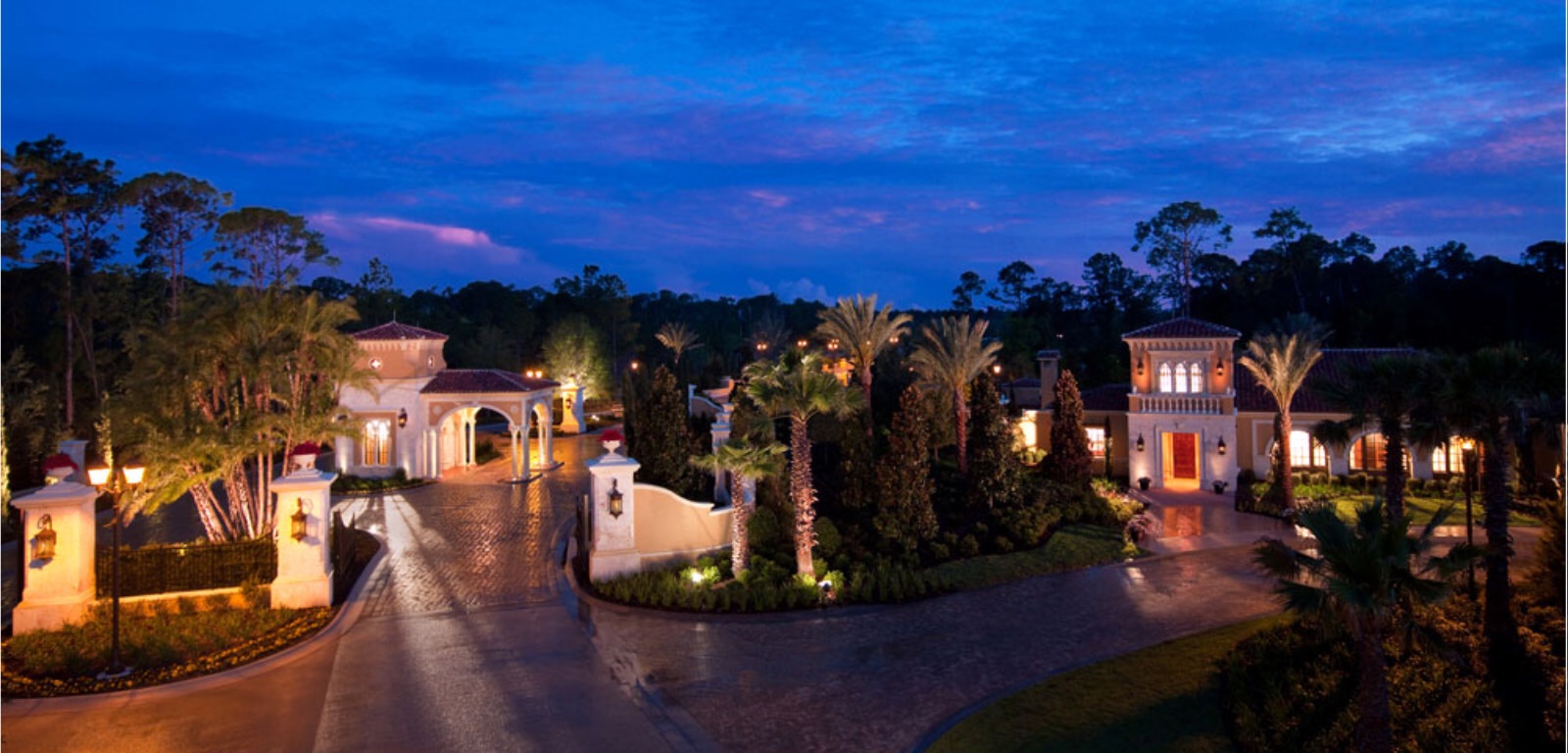 The Golden Oak Disney