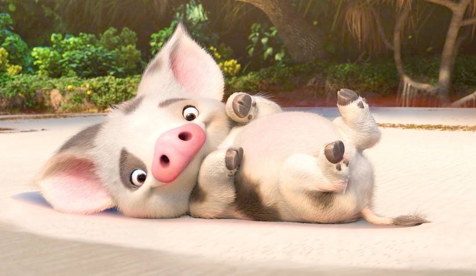Imagem - Pua Moana.jpg | Wiki Disney Princesas | FANDOM powered by Wikia