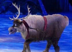 Sven Disney on ice