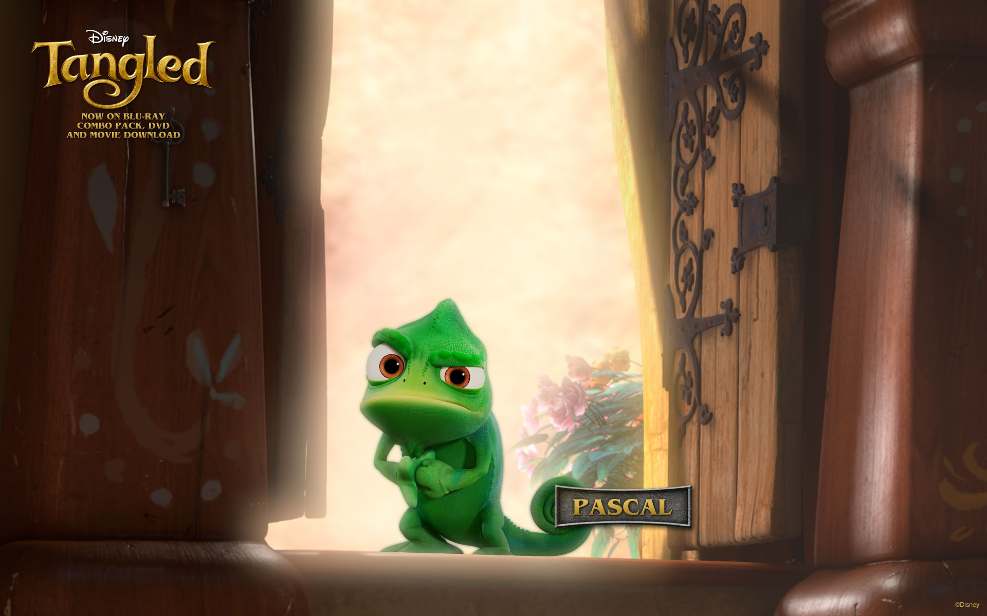 Pascal | Disney Princess Wiki | FANDOM powered by Wikia