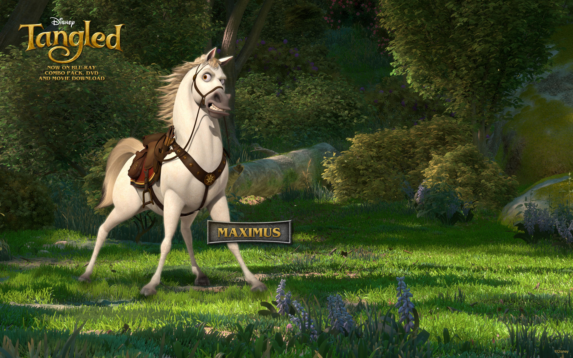 rapunzel with horse