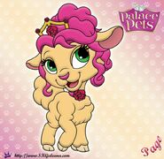 Page | Palace Pets Wiki | FANDOM powered by Wikia