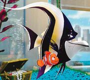 Nemo and Khan