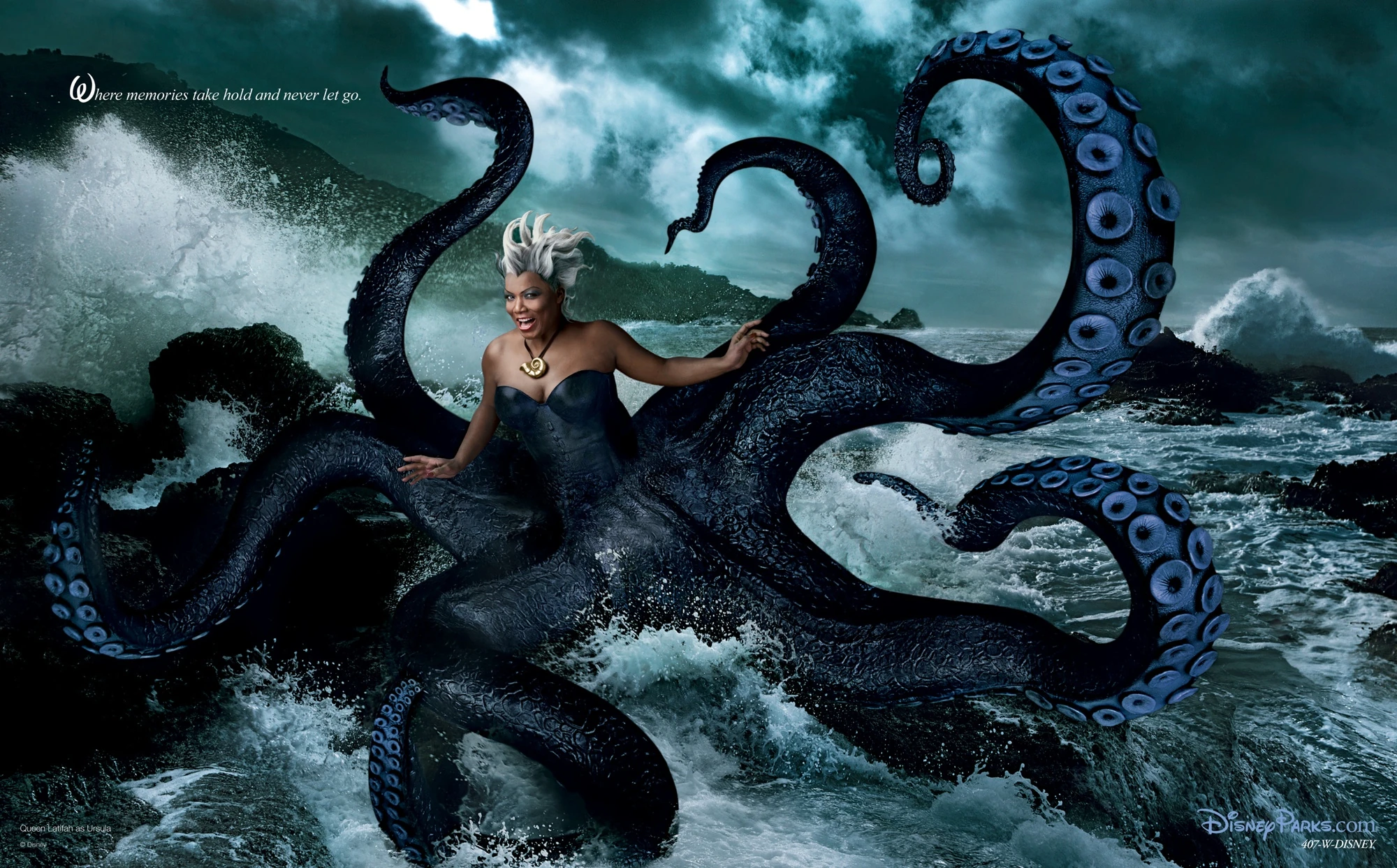 Image Ursula Portrait.JPG Disney's Sebastian & Dory Wiki FANDOM