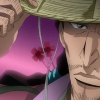 Shunsui Kyoraku Japanese Anime Wiki Fandom Shunsui Kyoraku Japanese Anime Wiki Fandom