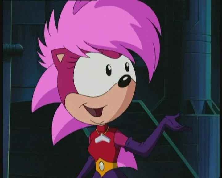 Sonia The Hedgehog Japanese Anime Wiki Fandom Sonia The Hedgehog Japanese Anime Wiki Fandom
