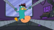 180-Perry trapped