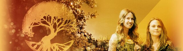 File:AmityCoverPic.jpg