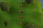 Max hit dummies