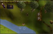 Trees and shoal 2