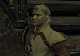 Divinity 2 Mercator