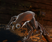 Charged Amphibian