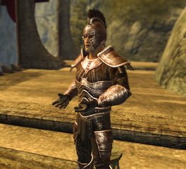 Divinity 2 Sepp