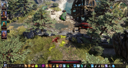 Lizardsfight2